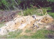 The post holes are dug, small version
