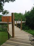 View of walkway from the end of my porch, small version, click on for large image.